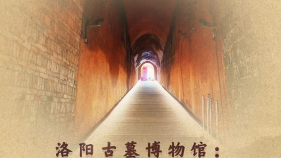 洛阳古墓博物馆：“冷门”变“爆款”靠什么？
