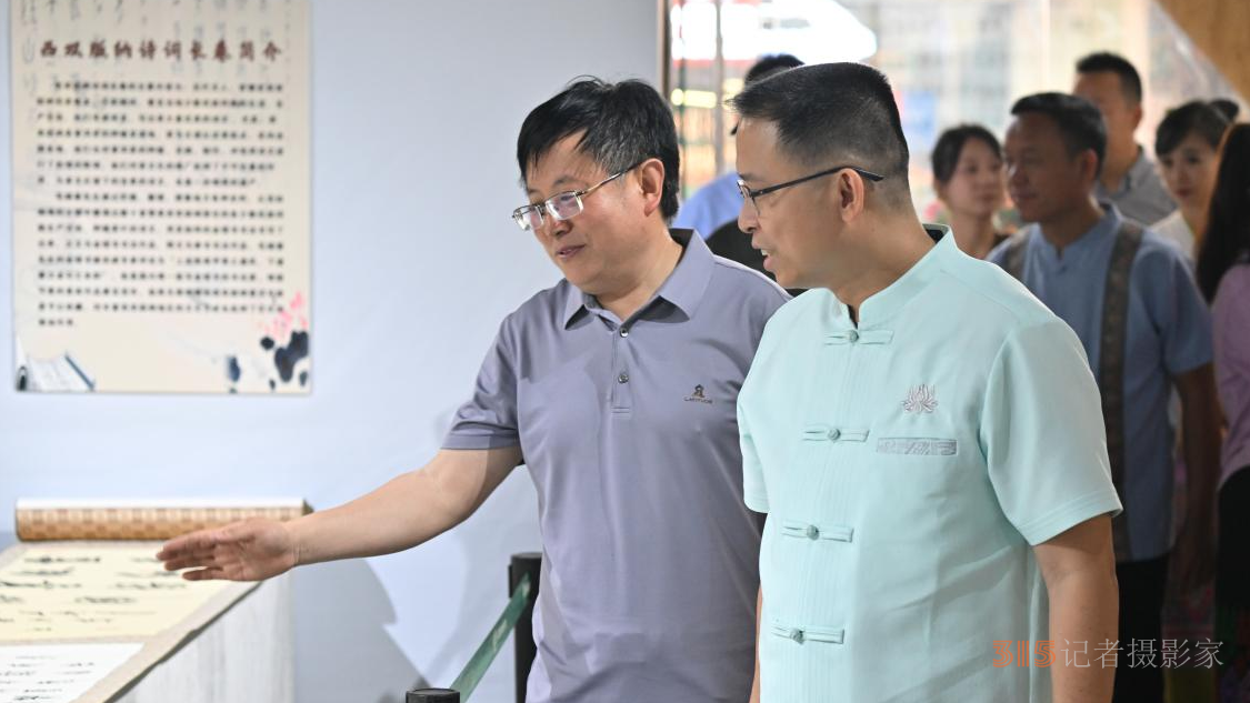 西双版纳州景洪市市长刀海清参观展览