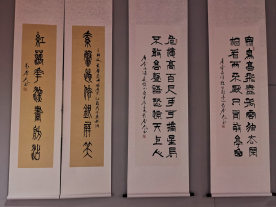 岁月如梭 墨韵春歌——袁春光书法作品汇报展在聊城拉开帷幕