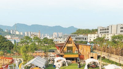 促增收，方寸庭院有乾坤