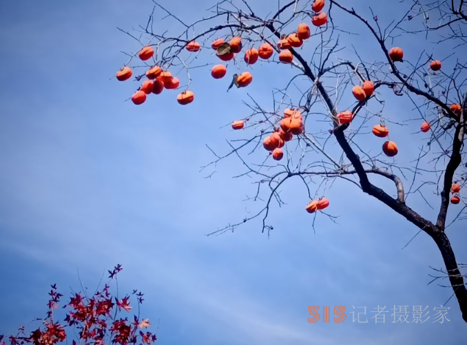光影铸魂，笔耕不辍 —— 王飞