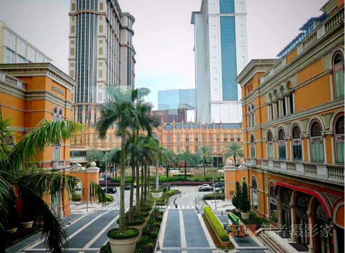 光影铸魂，笔耕不辍 —— 王飞