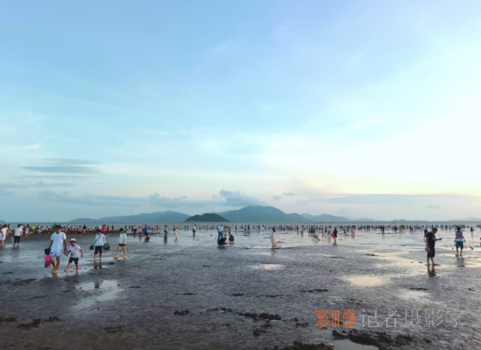 光影铸魂，笔耕不辍 —— 王飞