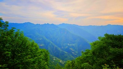 云端纳凉地 振兴进行时——重庆巫山楠木村：海拔1700米的“凉”心经济