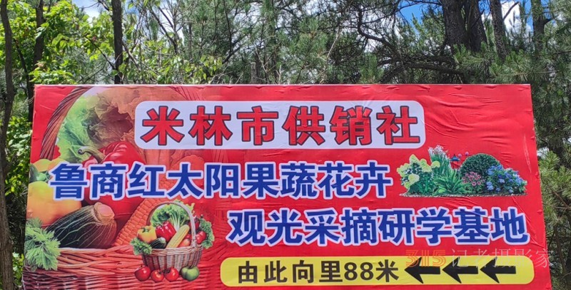 高原上的鲁商引擎～-林芝市鲁商产业园的藏区协同发展纪实 