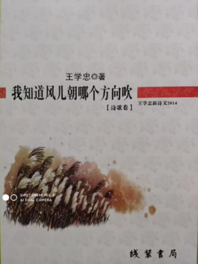 不屈的诗魂不朽的诗篇——简论王学忠的诗