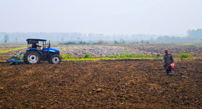 抢抓晴好天 播种小麦忙