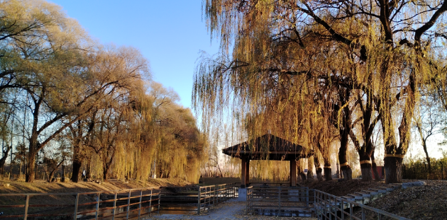 李月手机拍图——2025年秋天的回忆