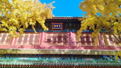 李月手机拍图——2025年秋天的回忆