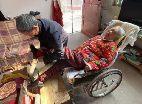 精心呵护 起死回生