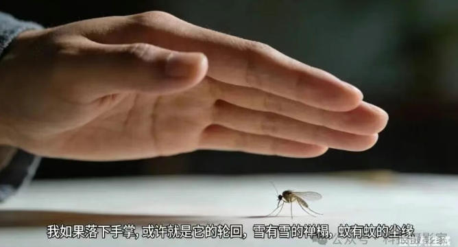 笑琰新诗：冬月二十九的蚊子