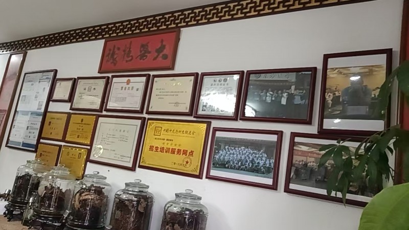 道医胡法修受邀第三届全球中医春晚 医易道疗法助力中医药传承