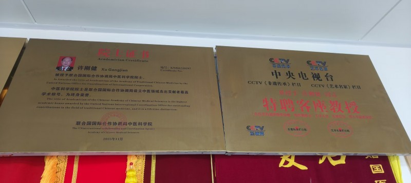 许刚健教授受邀第三届全球中医春晚