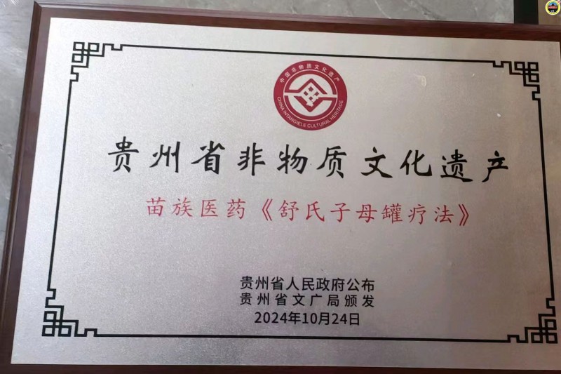 苗医药非遗传承者  舒文清受邀第三届全球中医春晚