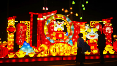 春节光影盛宴，青龙山“夜”绽华彩引客来