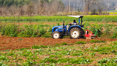 不负春光忙农事    荆楚田野春耕图
