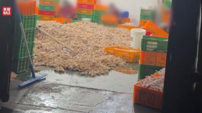 2026年“3·15晚会”曝光完整名单全记录