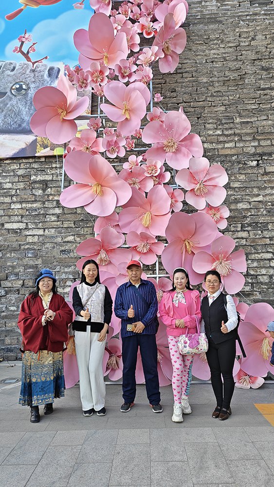 乐定坊AI俱乐部明城墙遗址公园赏花采风雅聚活动