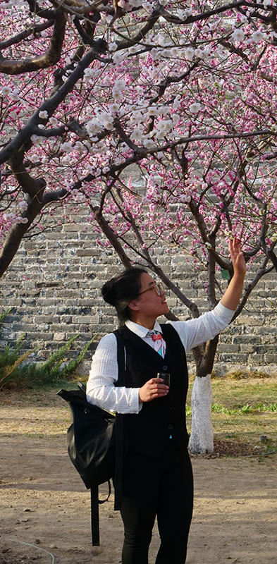 乐定坊AI俱乐部明城墙遗址公园赏花采风雅聚活动