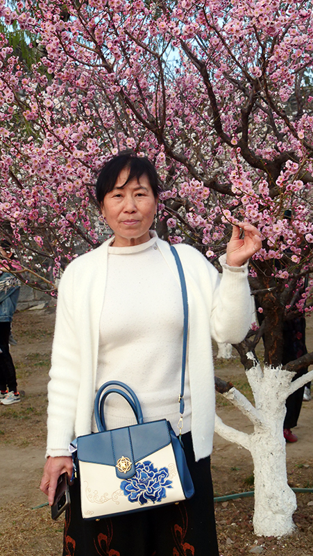 乐定坊AI俱乐部明城墙遗址公园赏花采风雅聚活动