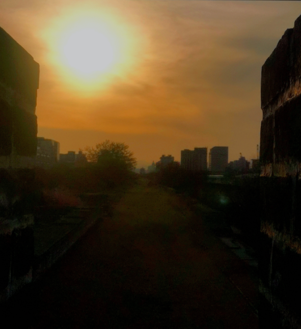 乐定坊AI俱乐部明城墙遗址公园赏花采风雅聚活动