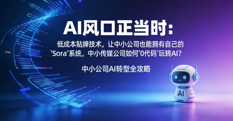 AI风口正当时：低成本贴牌技术，让中小公司也能拥有自己的AI“Sora”系统