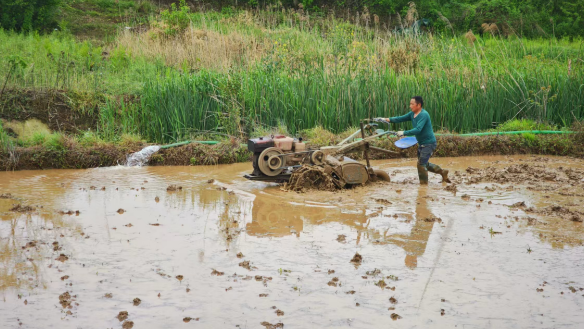 抢抓农时忙春耕