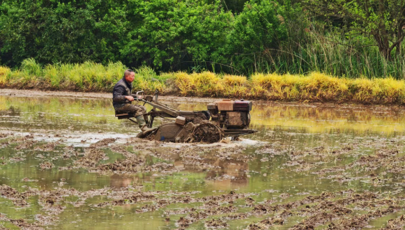 抢抓农时忙春耕