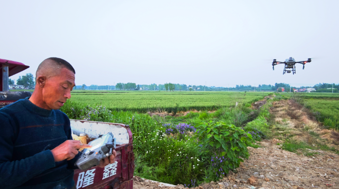 暮春麦田飞“铁翼” 科技追肥促丰收