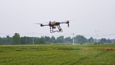 暮春麦田飞“铁翼”    科技追肥促丰收