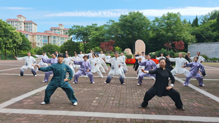 荆宜联谊展风采 太极神韵耀古街
