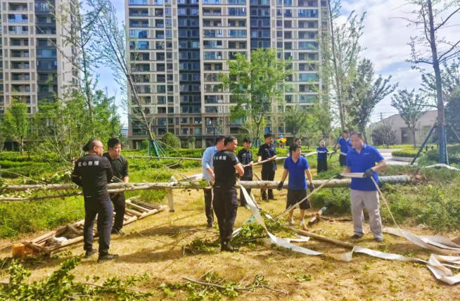 携手清障，守护家园——余姚十里亭社区合力开展台风灾后复绿抢修