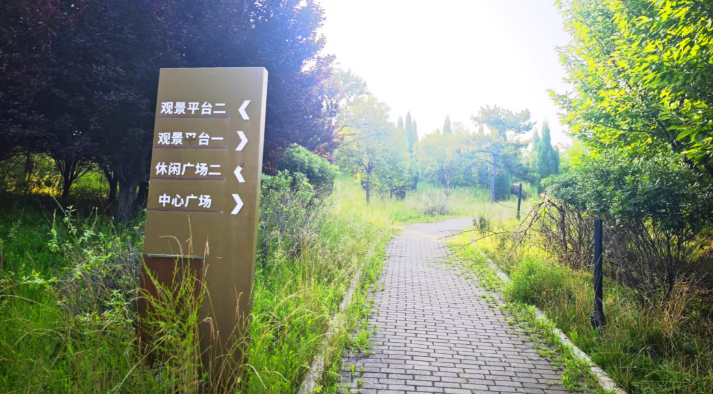 停车牌指向台阶步道！焦作白鹭湿地公园指引让人“找不着北”
