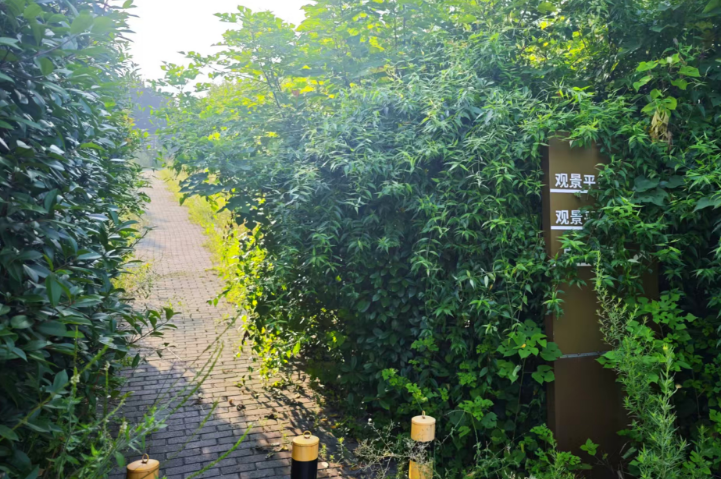停车牌指向台阶步道！焦作白鹭湿地公园指引让人“找不着北”
