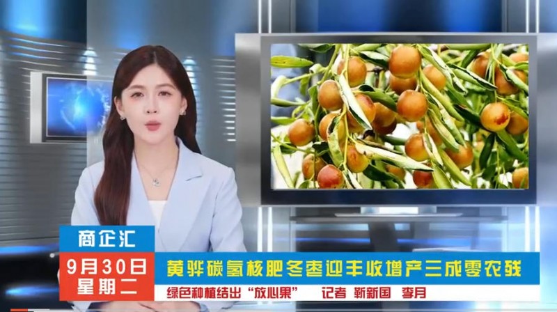 北京全媒体专访拍摄｜全国企业人物视频专访、活动多网报道服务商记者摄影家网 + 乐订坊 AI 传媒