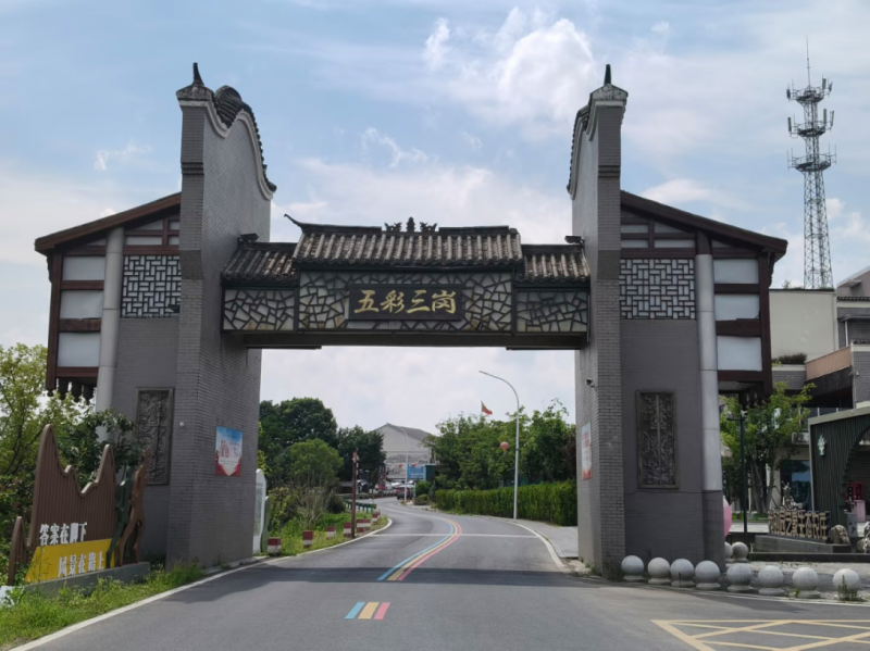 苗木之乡探新路，数字赋能绘锦程
