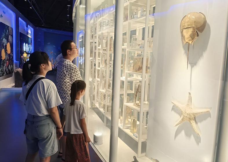 山海相融绘文旅画卷，新质赋能谱乡村新篇——曲师大新韵乡旅实践队赴日照市社会实践调研