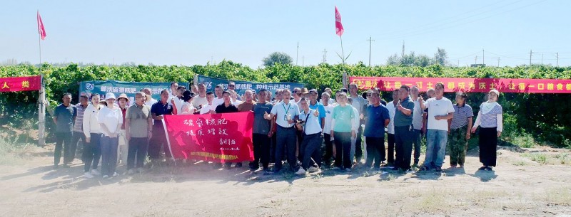 化肥农药减量增效结硕果 邮沃碳氢葡萄观摩会在新疆沙湾顺利举办