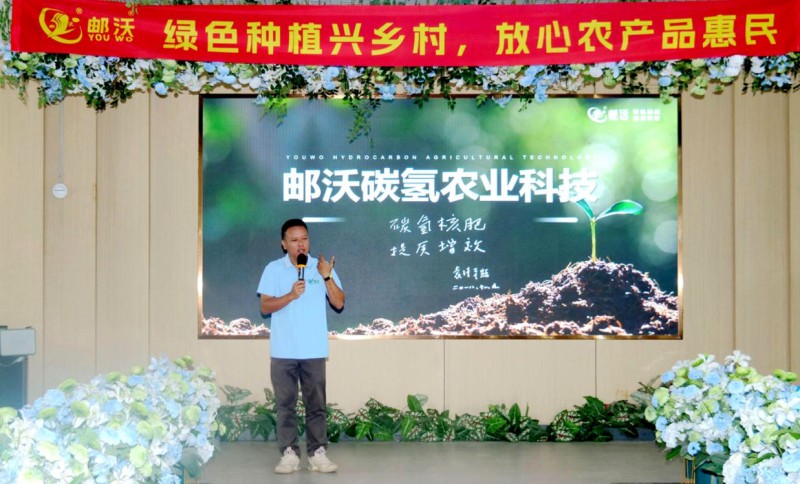 新疆沙湾葡萄“开挂”！少用一半化肥，亩产反增50%还早熟半月