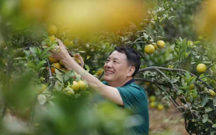 以农人之心办教育——低头耕耘，抬头成林