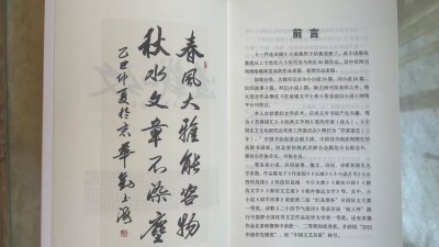 刘玉海小说集《一件连衣裙》武术家、书法家笔下的温柔世界