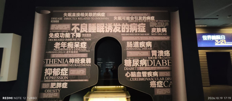 笔墨结缘和也，山水浸润匠心——我与安吉和也的一段文化情缘