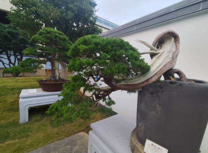 笔墨结缘和也，山水浸润匠心——我与安吉和也的一段文化情缘